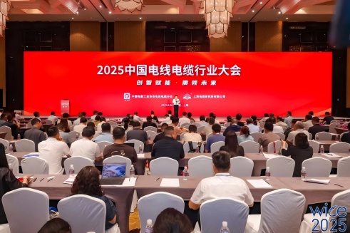 һ10꣡ٷҳɷߡ2025й¹ҵ߾ҵ100ǿ
